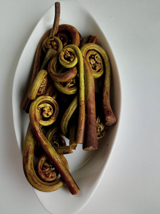 Fiddlehead Ferns in Brine